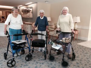 Read more about the article 9 Alasan Menggunakan Walker atau Rollator