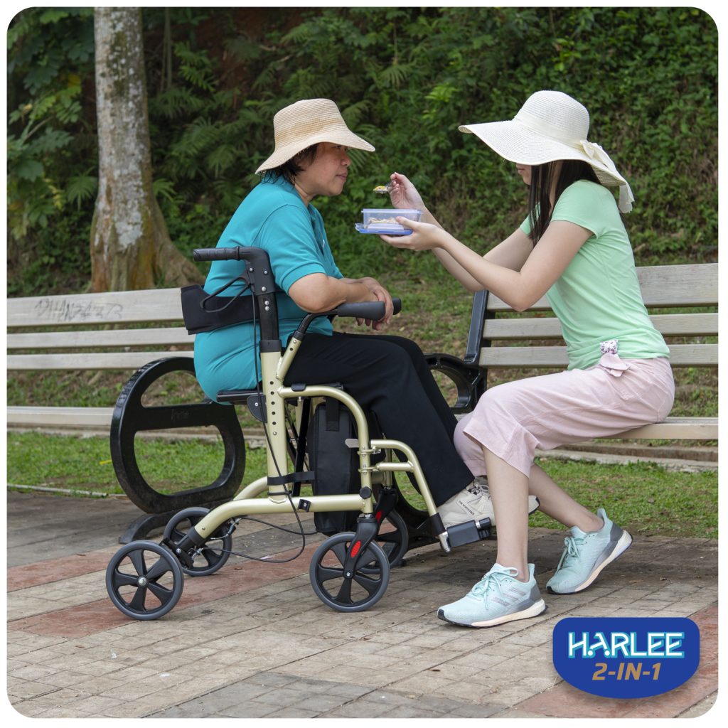 Harlee 2 in 1 Roda Depan