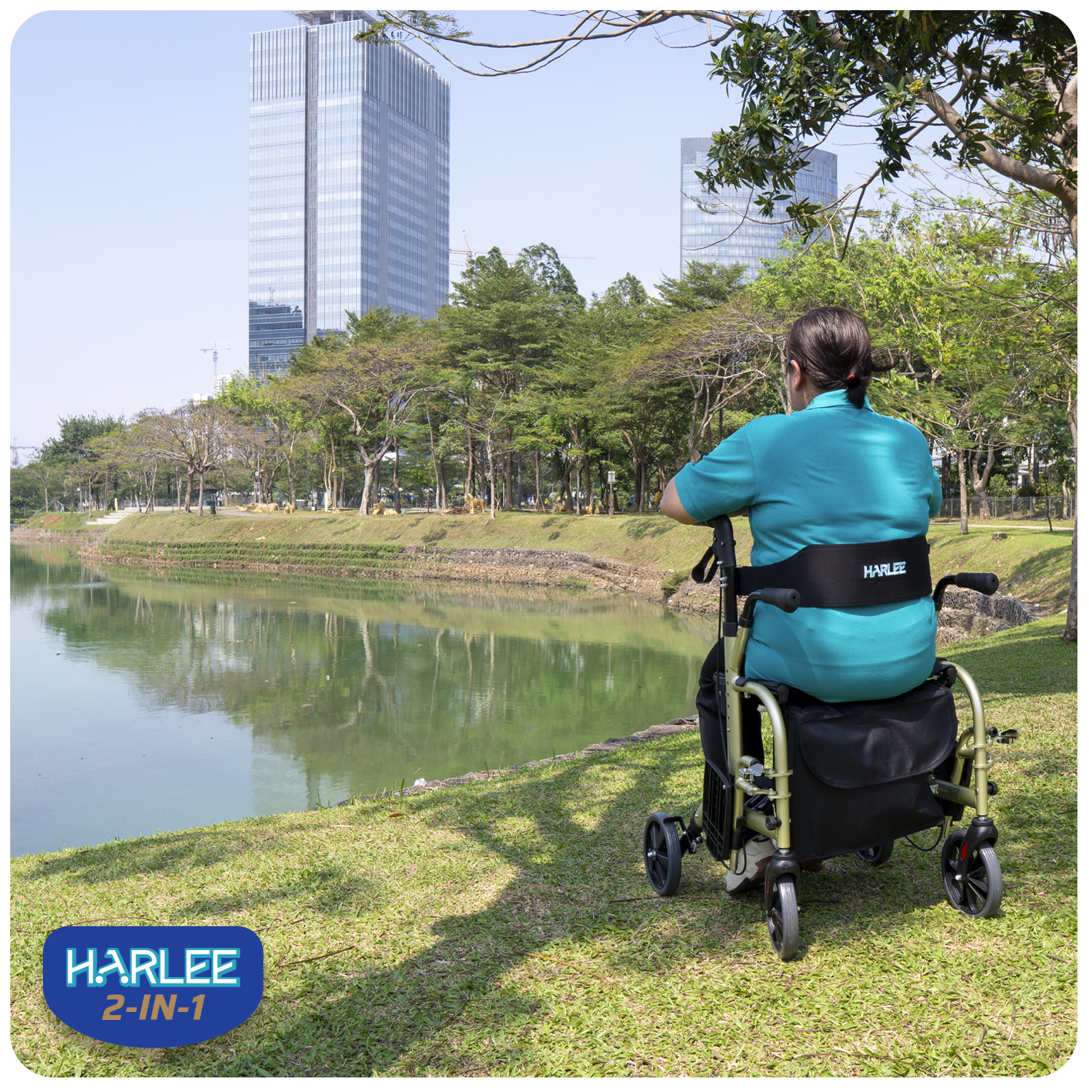 Harlee 2 in 1 Kursi Built in