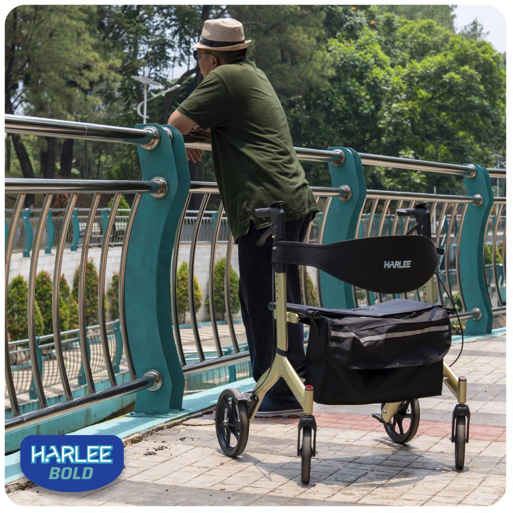 Harlee Bold