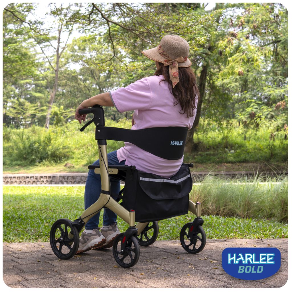 Harlee Bold Kursi Built in