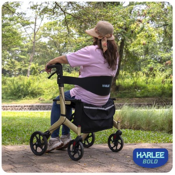 Harlee Bold Rollator - Alat bantu jalan - Walker beroda roda 4 - Gambar 5