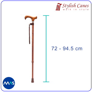 Tongkat Jalan Non Lipat by Stylish Canes / Senwood